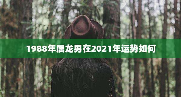 1988年属龙男在2021年运势如何