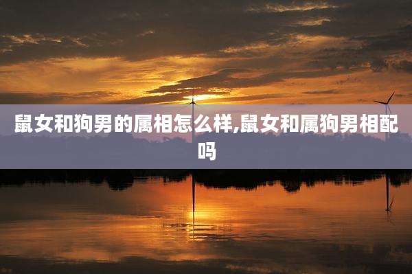 鼠女和狗男的属相怎么样,鼠女和属狗男相配吗