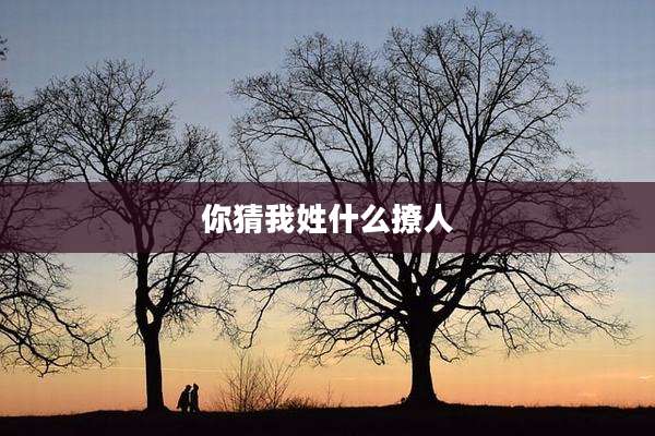 你猜我姓什么撩人