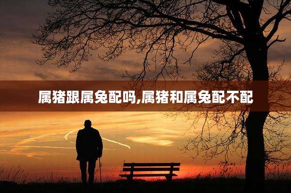 属猪跟属兔配吗,属猪和属兔配不配
