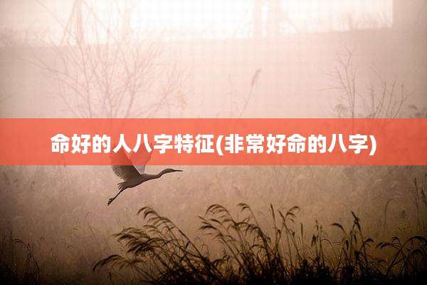命好的人八字特征(非常好命的八字)