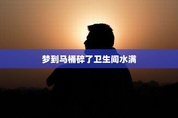 梦到马桶碎了卫生间水满