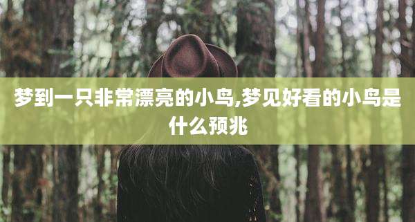 梦到一只非常漂亮的小鸟,梦见好看的小鸟是什么预兆