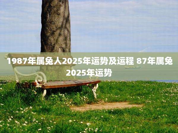 1987年属兔人2025年运势及运程 87年属兔2025年运势