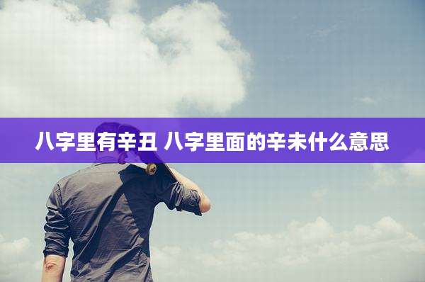 八字里有辛丑 八字里面的辛未什么意思