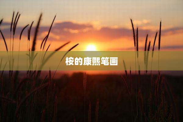 桉的康熙笔画