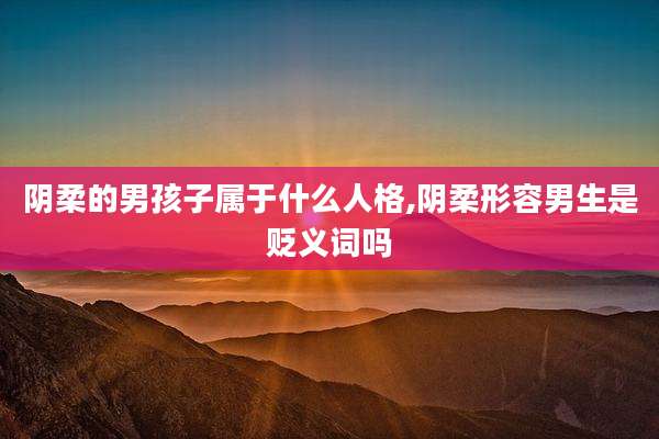 阴柔的男孩子属于什么人格,阴柔形容男生是贬义词吗