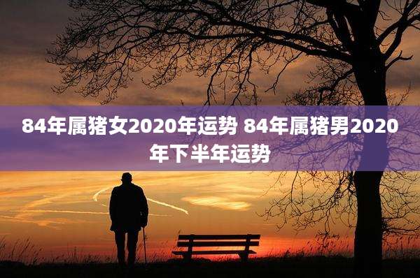 84年属猪女2020年运势 84年属猪男2020年下半年运势