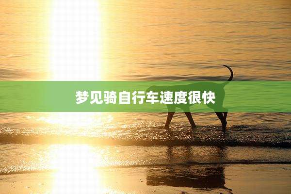 梦见骑自行车速度很快