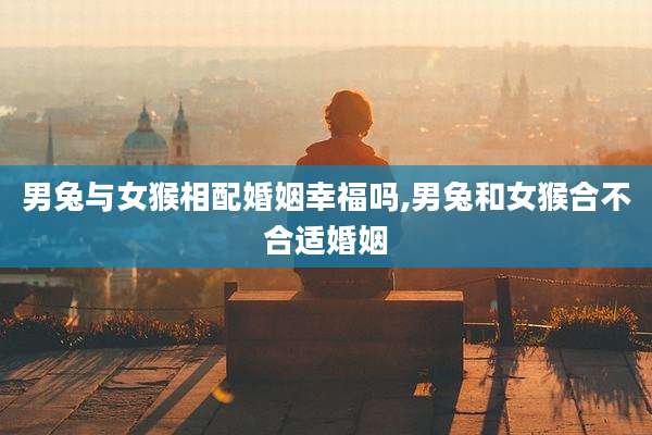男兔与女猴相配婚姻幸福吗,男兔和女猴合不合适婚姻