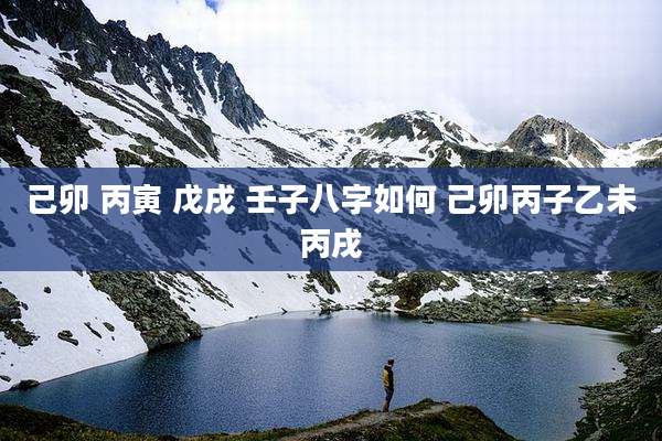 己卯 丙寅 戊戌 壬子八字如何 己卯丙子乙未丙戌