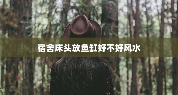宿舍床头放鱼缸好不好风水