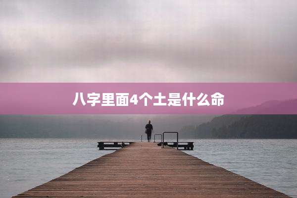 八字里面4个土是什么命