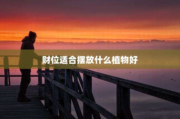 财位适合摆放什么植物好