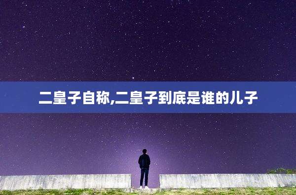 二皇子自称,二皇子到底是谁的儿子