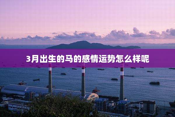 3月出生的马的感情运势怎么样呢