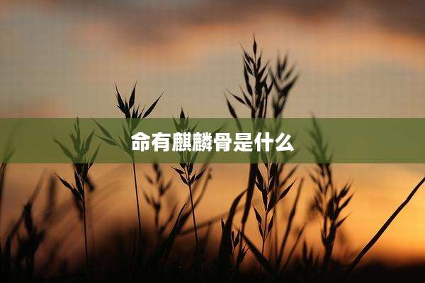 命有麒麟骨是什么