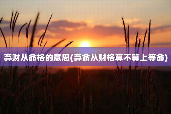 弃财从命格的意思(弃命从财格算不算上等命)