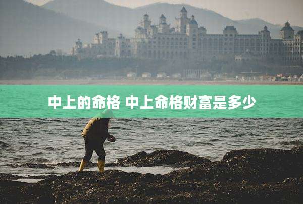 中上的命格 中上命格财富是多少