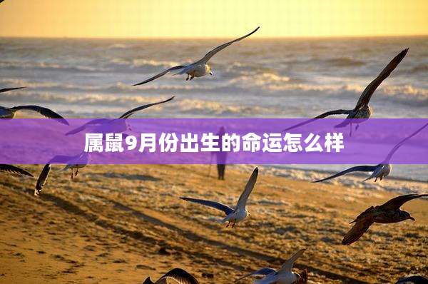 属鼠9月份出生的命运怎么样
