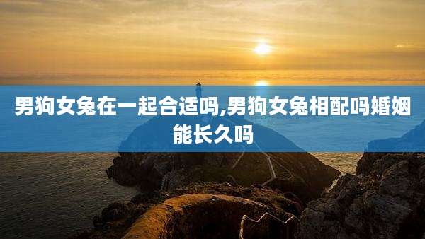 男狗女兔在一起合适吗,男狗女兔相配吗婚姻能长久吗