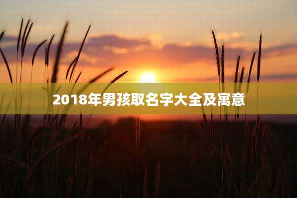 2018年男孩取名字大全及寓意