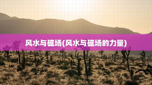 风水与磁场(风水与磁场的力量)