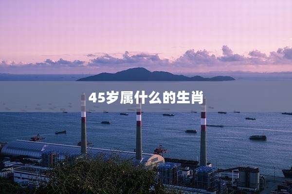 45岁属什么的生肖