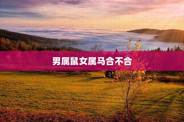 男属鼠女属马合不合