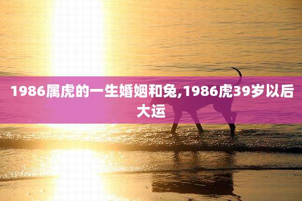 1986属虎的一生婚姻和兔,1986虎39岁以后大运