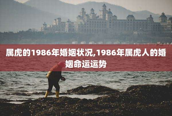 属虎的1986年婚姻状况,1986年属虎人的婚姻命运运势