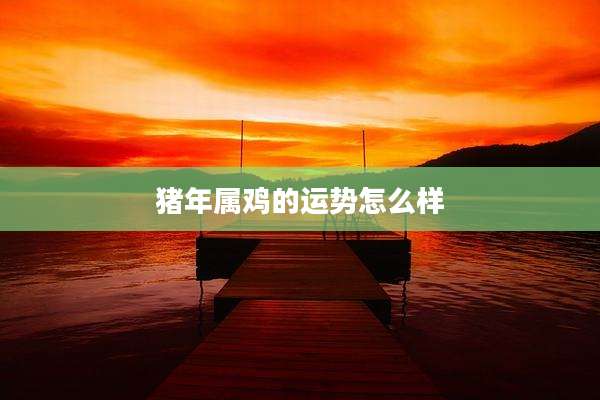 猪年属鸡的运势怎么样