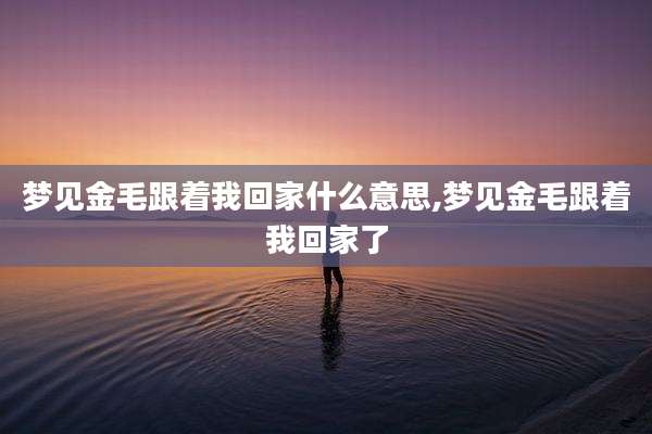 梦见金毛跟着我回家什么意思,梦见金毛跟着我回家了