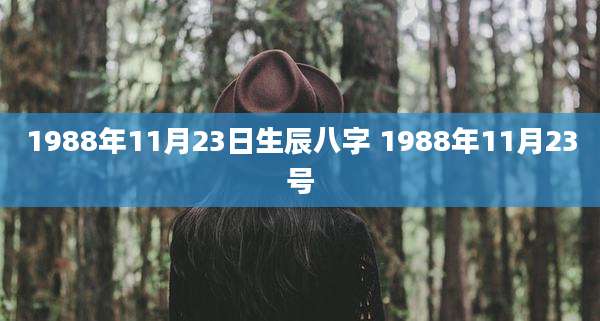 1988年11月23日生辰八字 1988年11月23号