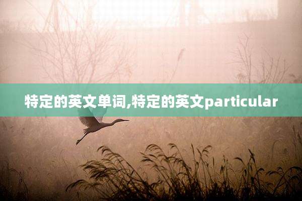 特定的英文单词,特定的英文particular