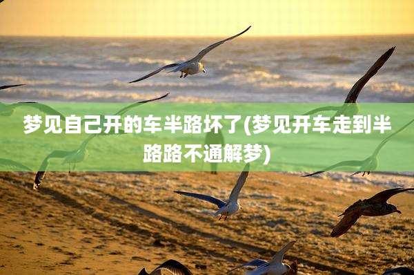 梦见自己开的车半路坏了(梦见开车走到半路路不通解梦)