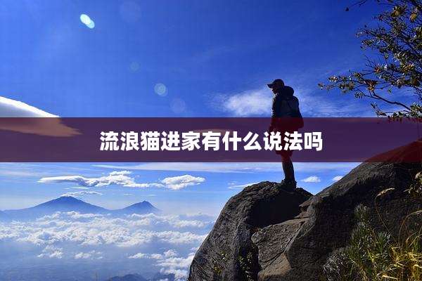 流浪猫进家有什么说法吗