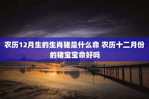 农历12月生的生肖猪是什么命 农历十二月份的猪宝宝命好吗
