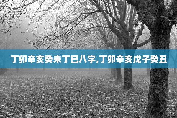 丁卯辛亥癸未丁巳八字,丁卯辛亥戊子癸丑