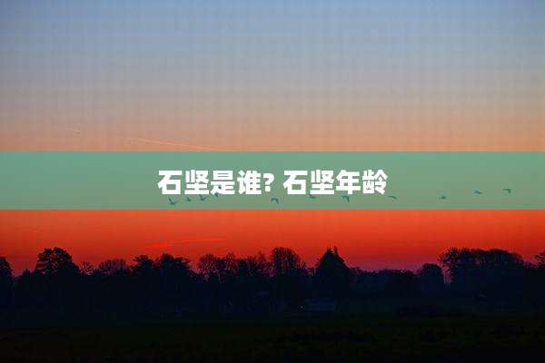 石坚是谁? 石坚年龄