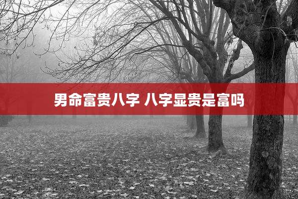 男命富贵八字 八字显贵是富吗