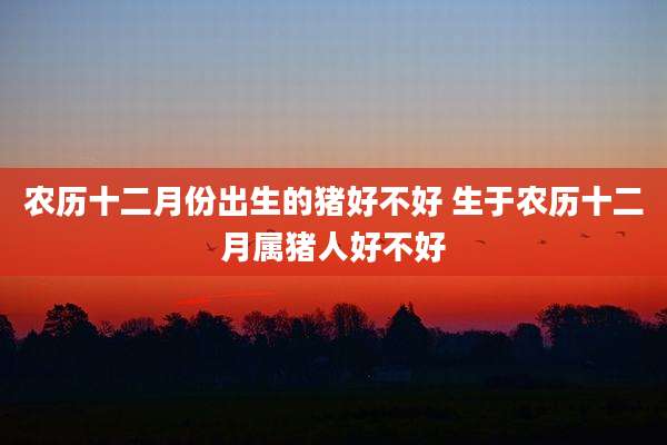 农历十二月份出生的猪好不好 生于农历十二月属猪人好不好