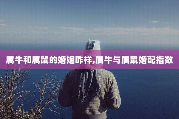 属牛和属鼠的婚姻咋样,属牛与属鼠婚配指数