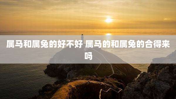 属马和属兔的好不好 属马的和属兔的合得来吗