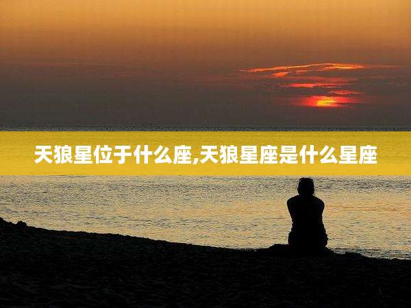 天狼星位于什么座,天狼星座是什么星座