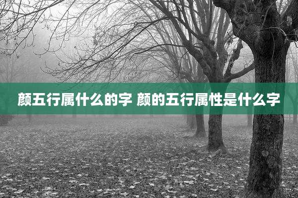 颜五行属什么的字 颜的五行属性是什么字