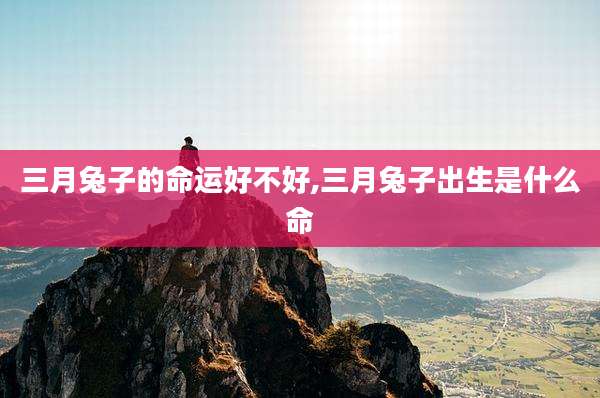 三月兔子的命运好不好,三月兔子出生是什么命