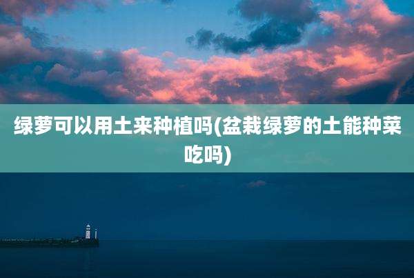 绿萝可以用土来种植吗(盆栽绿萝的土能种菜吃吗)