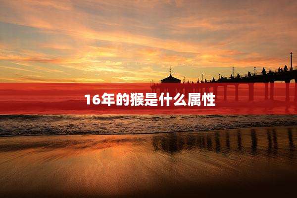 16年的猴是什么属性