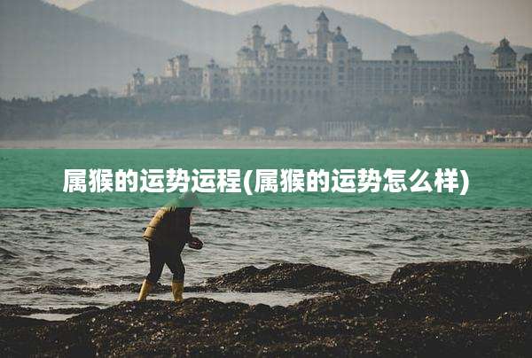 属猴的运势运程(属猴的运势怎么样)